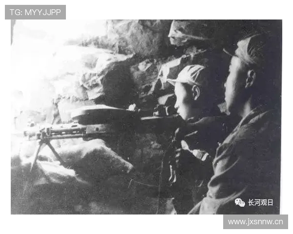 恩佐是否被低估？战术价值与实际表现差距分析